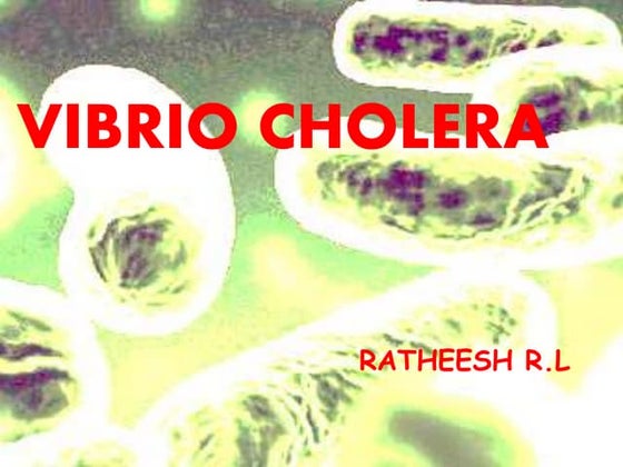 16. vibrio cholera