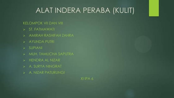 Alat indera peraba (kulit)