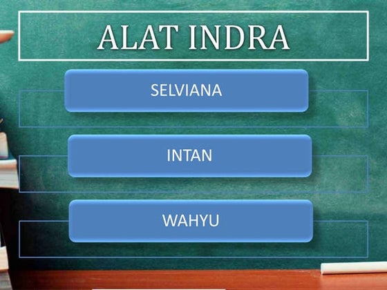 Anatomi Fisiologi Manusia - Alat Indra Manusia