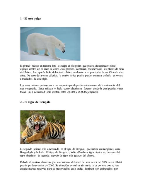 Animales en peligro de extincion 2