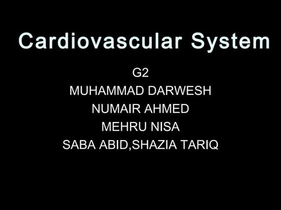 Cardiovascular system