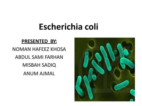 e-coli-presentation1-150519165248-lva1-app6892.pptx