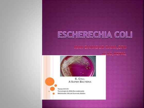 Escherichia coli