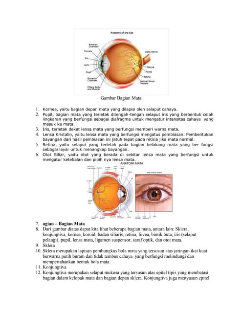 Gambar bagian mata