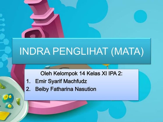 Indra penglihatan mata 