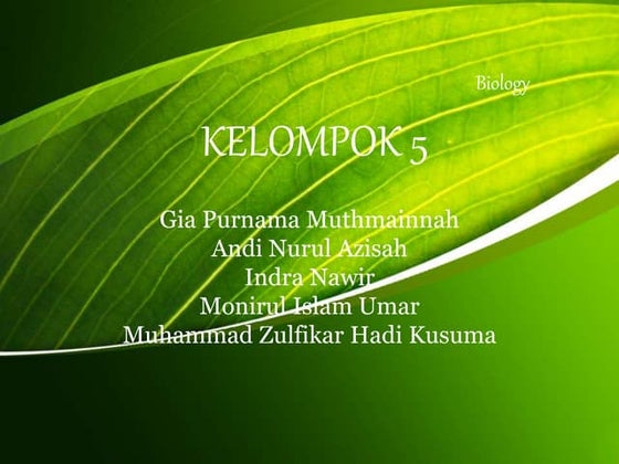 Kelompok 5 (indra penglihatan)