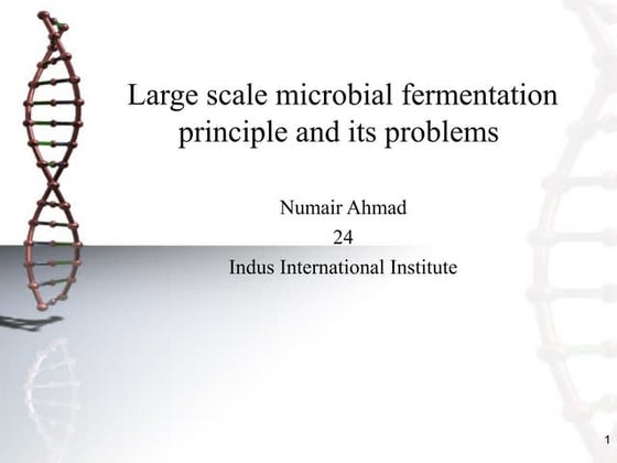 Large scale microbial  fermentation and its problem numair ahmad