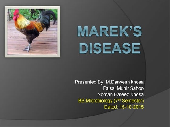 Marek's disease in poultry