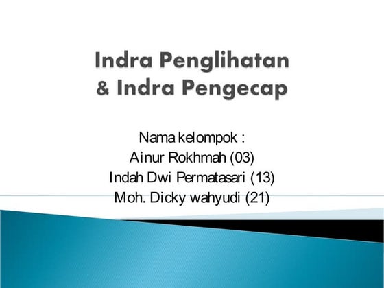 Indra Penglihatan & Indra Pengecap