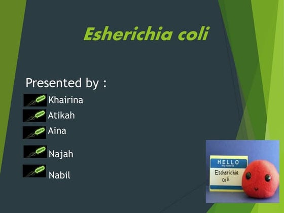 Microb e.coli