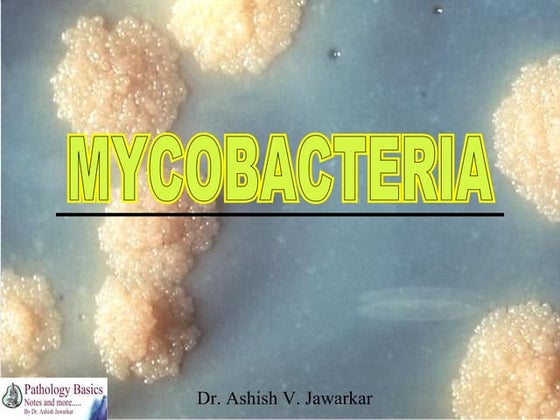 Mycobacteria