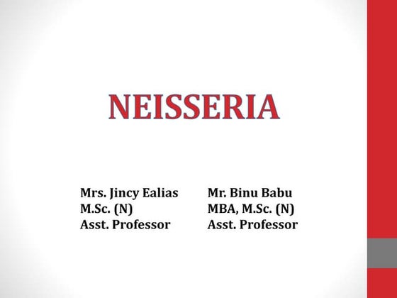 Neisseria