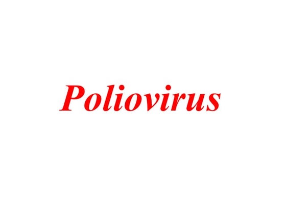 Poliovirus