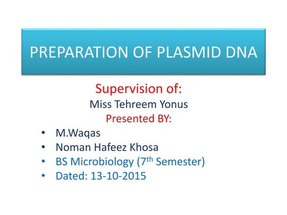 Preparation of plasmid dna by M.Waqas & Noman Hafeez Khosa