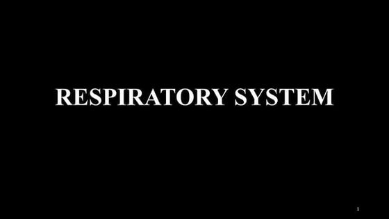 Respiratory system