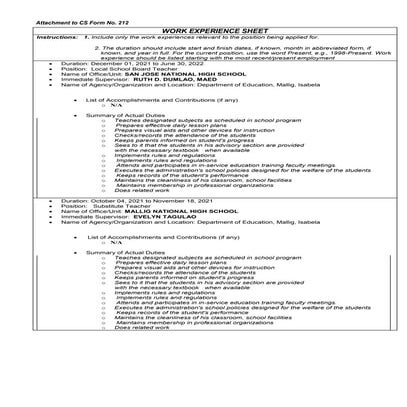 Work experience sheet jinilin | PDF