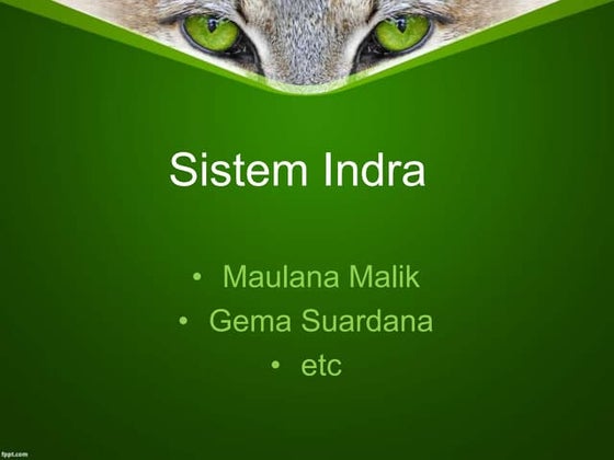 Sistem indra