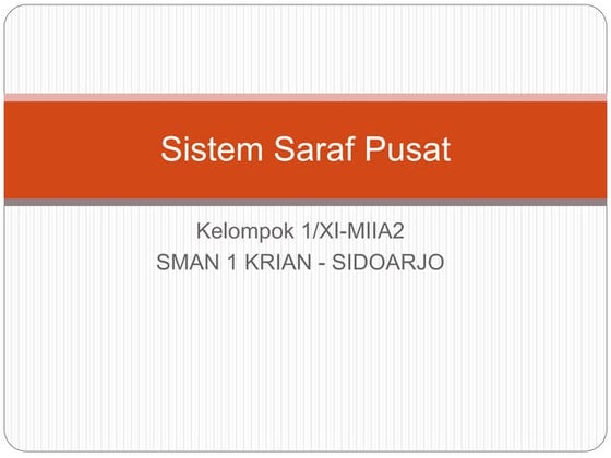 Sistem saraf pusat   kelompok 1 - xi-miia 2