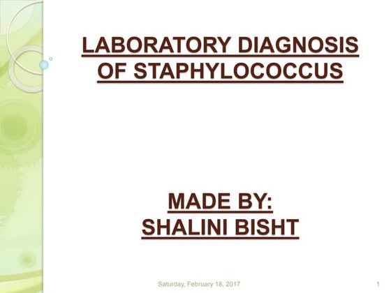 laboratory diagnosis of staphylococcus