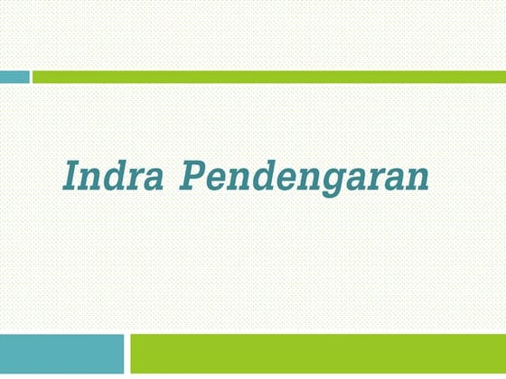 Indra Pendengaran