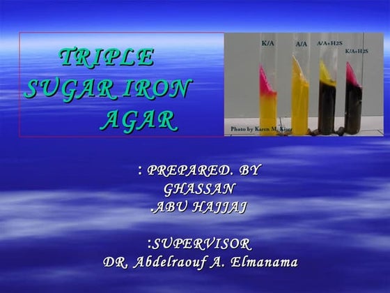 Triple sugar iron_agar