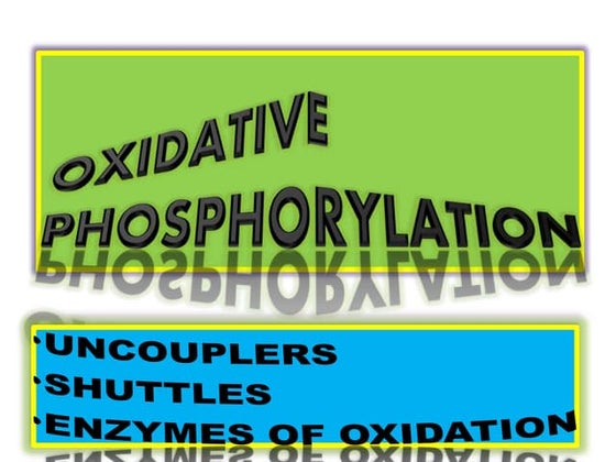 Uncouplers of oxidative phosphorylation