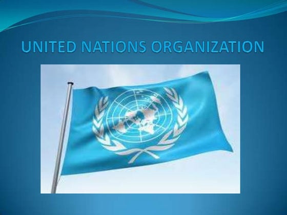 United nations organization2