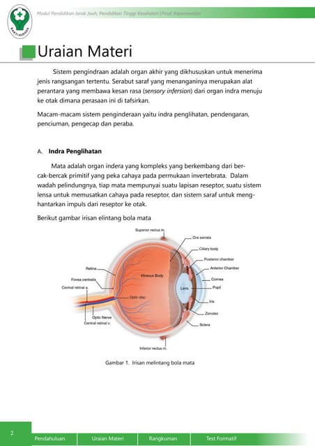 Sistem Penginderaan