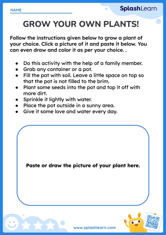 Grow Your Own Plants - Worksheet