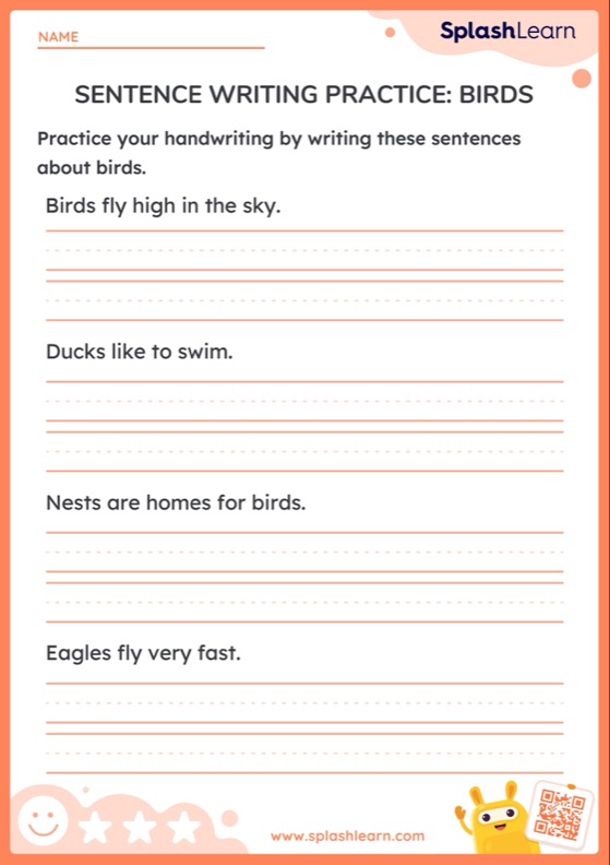 Sentence Writing Practice: Birds - Worksheet