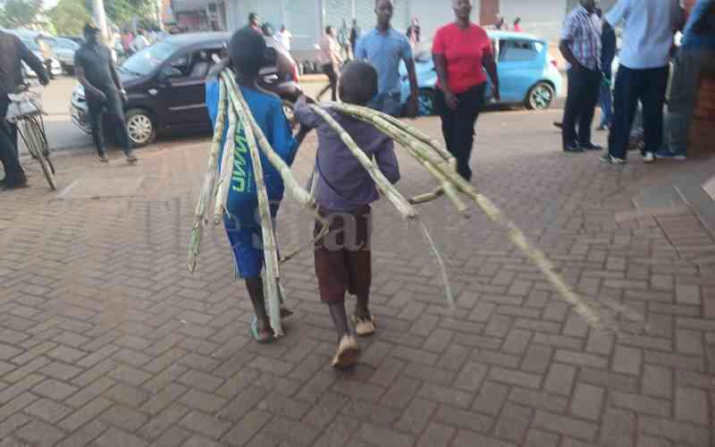 Two minors spotted hawking sugar cane along Moi Avenue Street in Kitale, Trans Nzoia County