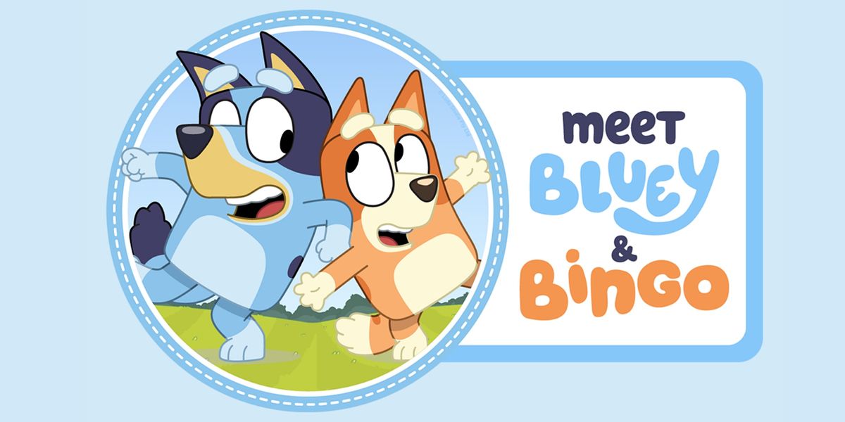 Bluey Bingo School