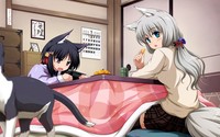 Cat girls wallpaper 1920x1200 jpg