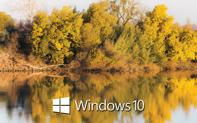 Windows 10 text logo on the tree reflection wallpaper - Computer ...