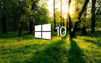 Windows 10 in the green forest white logo wallpaper - Computer ...