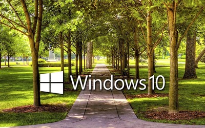 Windows 10 on a park alley text logo wallpaper - Computer wallpapers ...