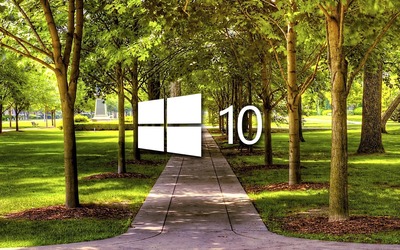 Windows 10 on a park alley white logo wallpaper - Computer wallpapers ...