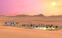 Oasis in the desert wallpaper 1920x1080 jpg