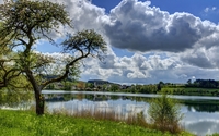 Fluffy clouds over the city wallpaper 1920x1200 jpg