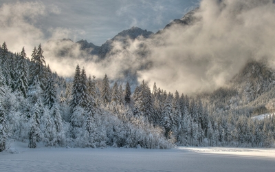 Fog rising from the snowy forest [4] wallpaper