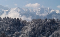 Fog rising from the snowy forest [5] wallpaper 1920x1080 jpg