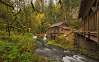 House in the forest wallpaper 1920x1200 jpg