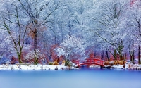 Red bridge in the snowy park wallpaper 1920x1200 jpg