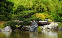 Small pine tree by the wooden bridge wallpaper 2560x1600 jpg