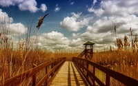 Wooden bridge across the river towards the reed wallpaper 2560x1600 jpg