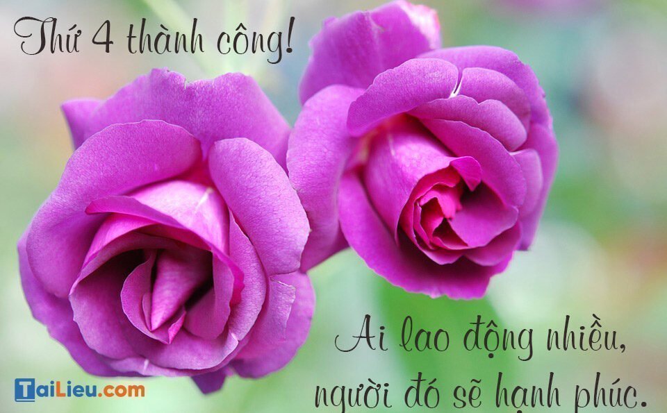 Những hình ảnh chào ngày mới hay và ý nghĩa nhất