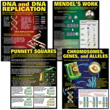 DNA & Heredity Poster Set