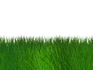 Border Grass Seamless Transparent Background Free