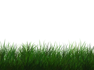 Free Transparent Grass Texture Seamless PNG