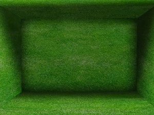 Grass Room Background Free